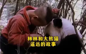 下载视频: 90年代的熊猫纪录片：人类少年林林和大熊猫遥远的故事