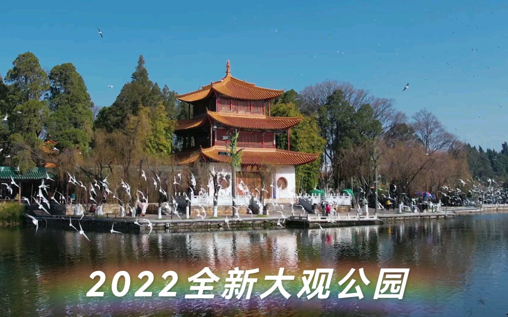 2022【大观公园】宣传片哔哩哔哩bilibili