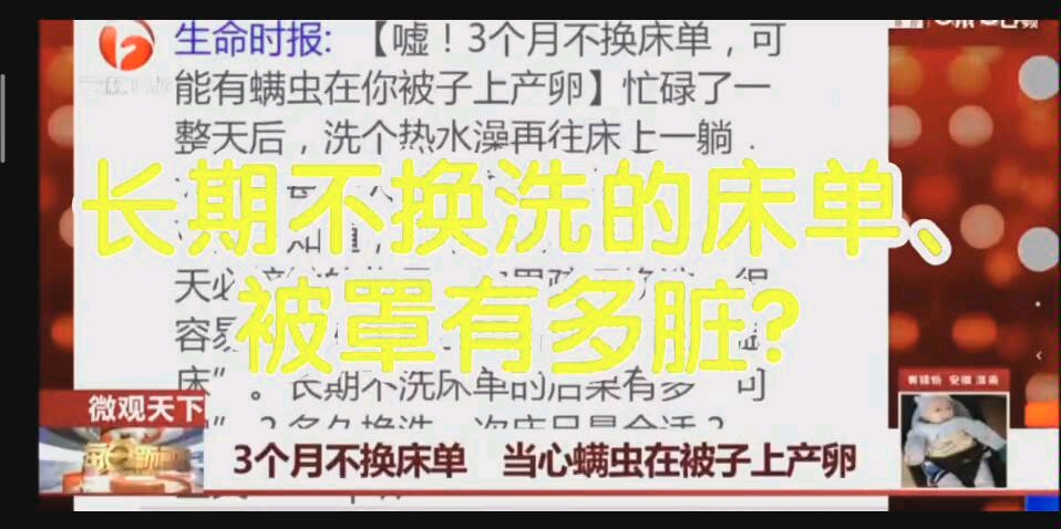 长期不换洗的床单、被罩,可能有螨虫在你被子上产卵……哔哩哔哩bilibili