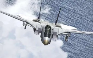 Download Video: F-14雄猫战斗机竟然等了一年才被批准量产