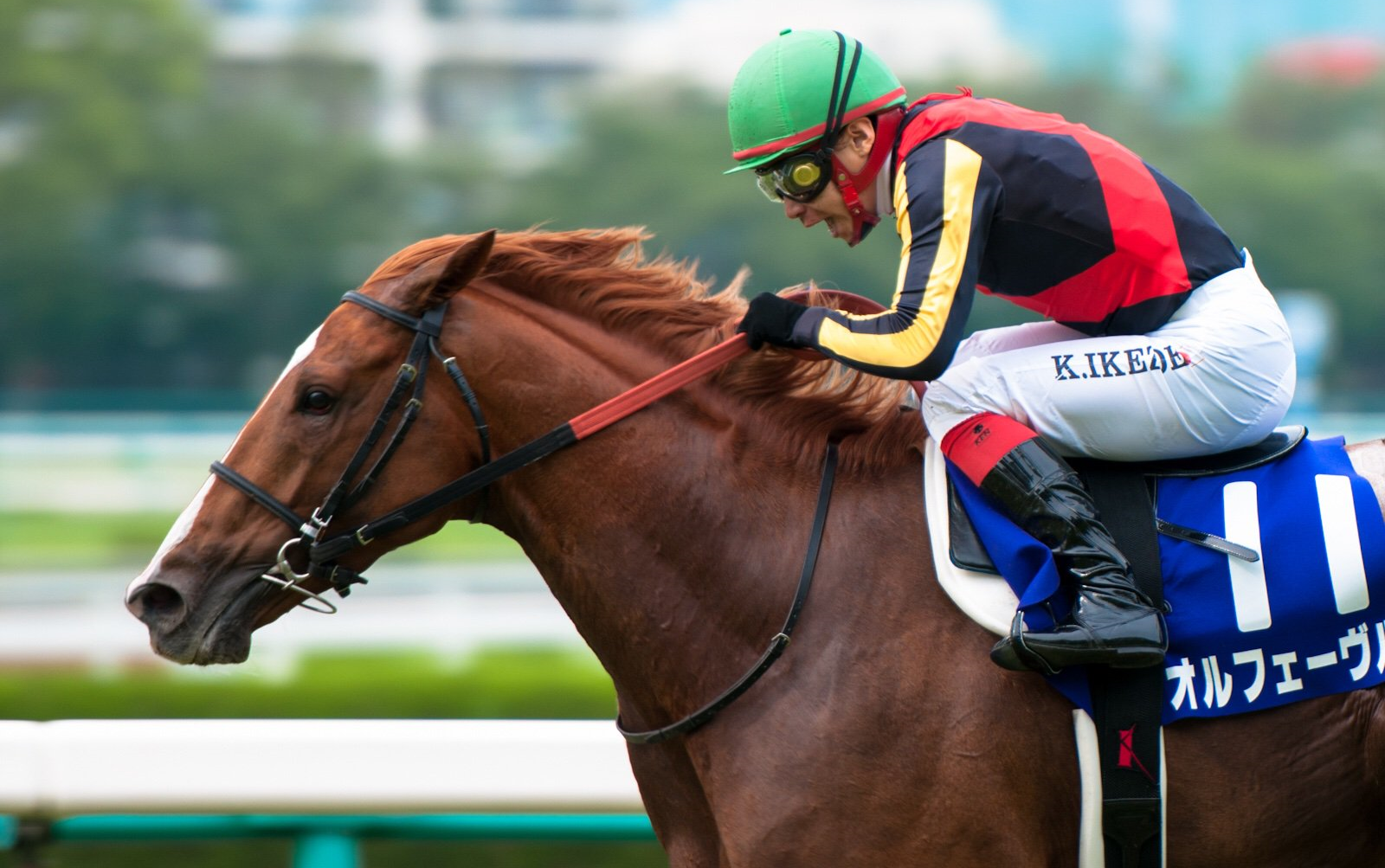 24 宝冢记念 (gi) 【黄金巨匠】_哔哩哔哩_bilibili