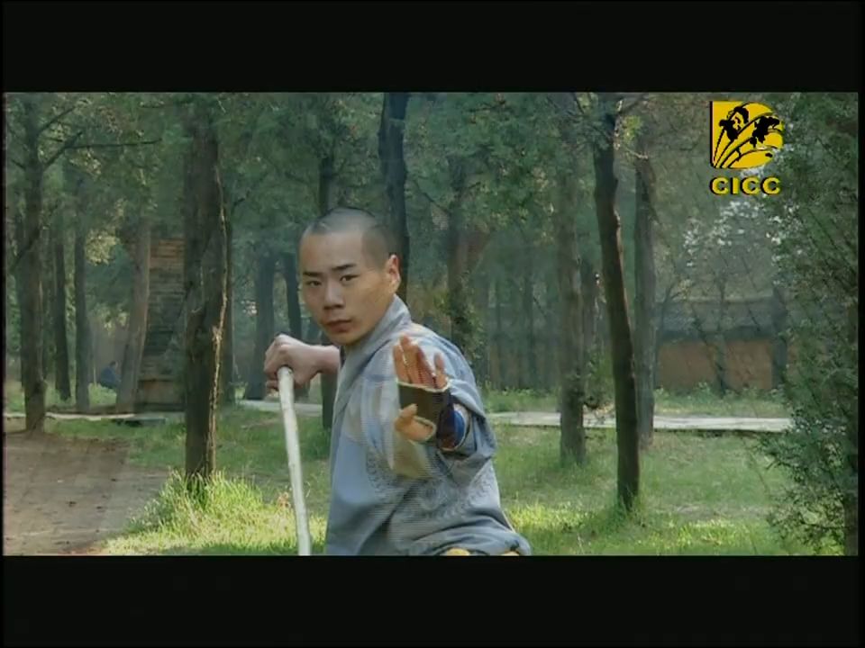 《少林功夫》天下功夫出少林 看完就明白少林功夫为何厉害!【CCTV纪录】哔哩哔哩bilibili