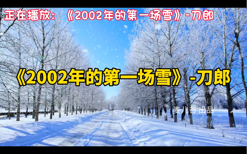 《2002年的第一场雪》刀郎,超好听90后华语经典歌曲合集,音乐推荐哔哩哔哩bilibili