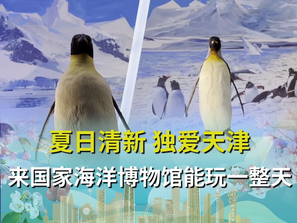国家海洋博物馆,位于天津市滨海新区中新生态城海轩道377号,共设六大