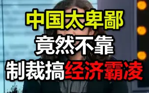 Video herunterladen: 那个借中国损美国的脱口秀演员又来了：中国太卑鄙，竟然不靠制裁搞经济霸凌，显得我们很坏