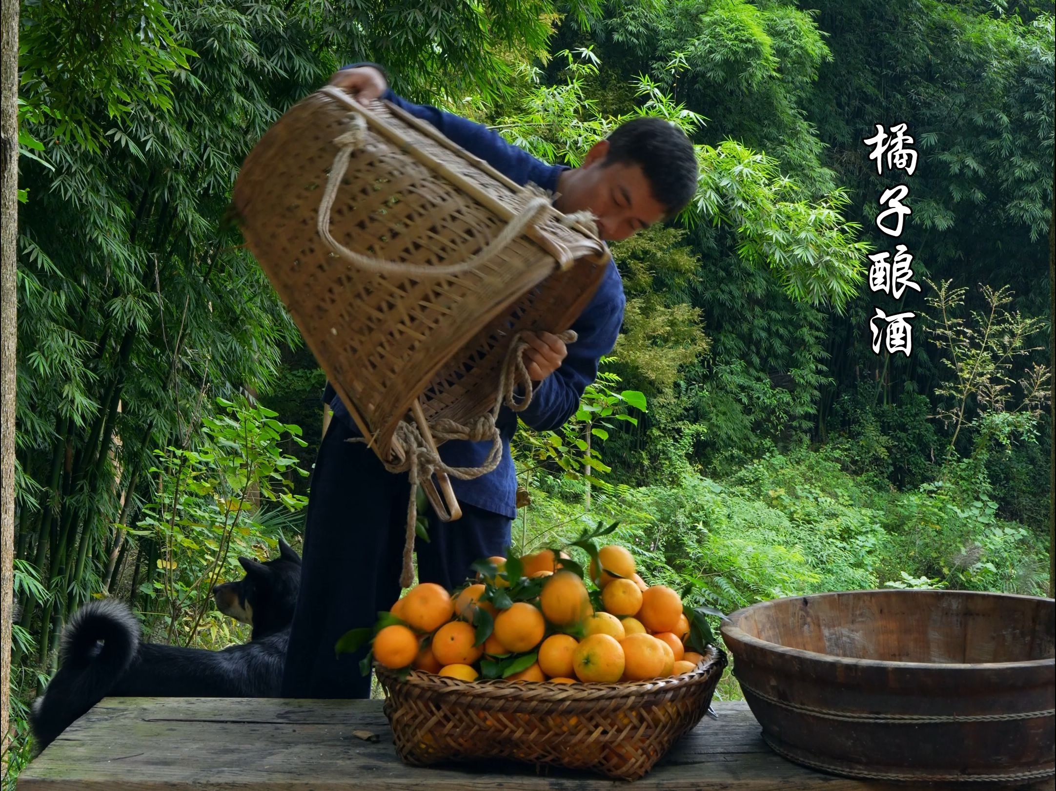 橘子红满山,坛子装满酒.古法传统工艺制作橘子酒橘子酿酒哔哩哔哩bilibili