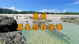 Download Video: 媲美深圳西冲沙滩，惠州这片五公里原生态白沙滩，自驾直达沙滩路线攻略来啦！