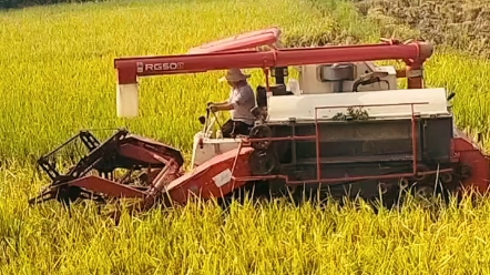 [图]重访延边景象鲜，培修十载换新天。春来抢种争分秒，秋到忙时贵后先。草帽山头栽果树，沙河岸上种禾田。人民勤俭辛劳甚，累进丰收是逐年