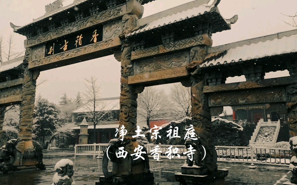 净土宗祖庭(西安香积寺)哔哩哔哩bilibili