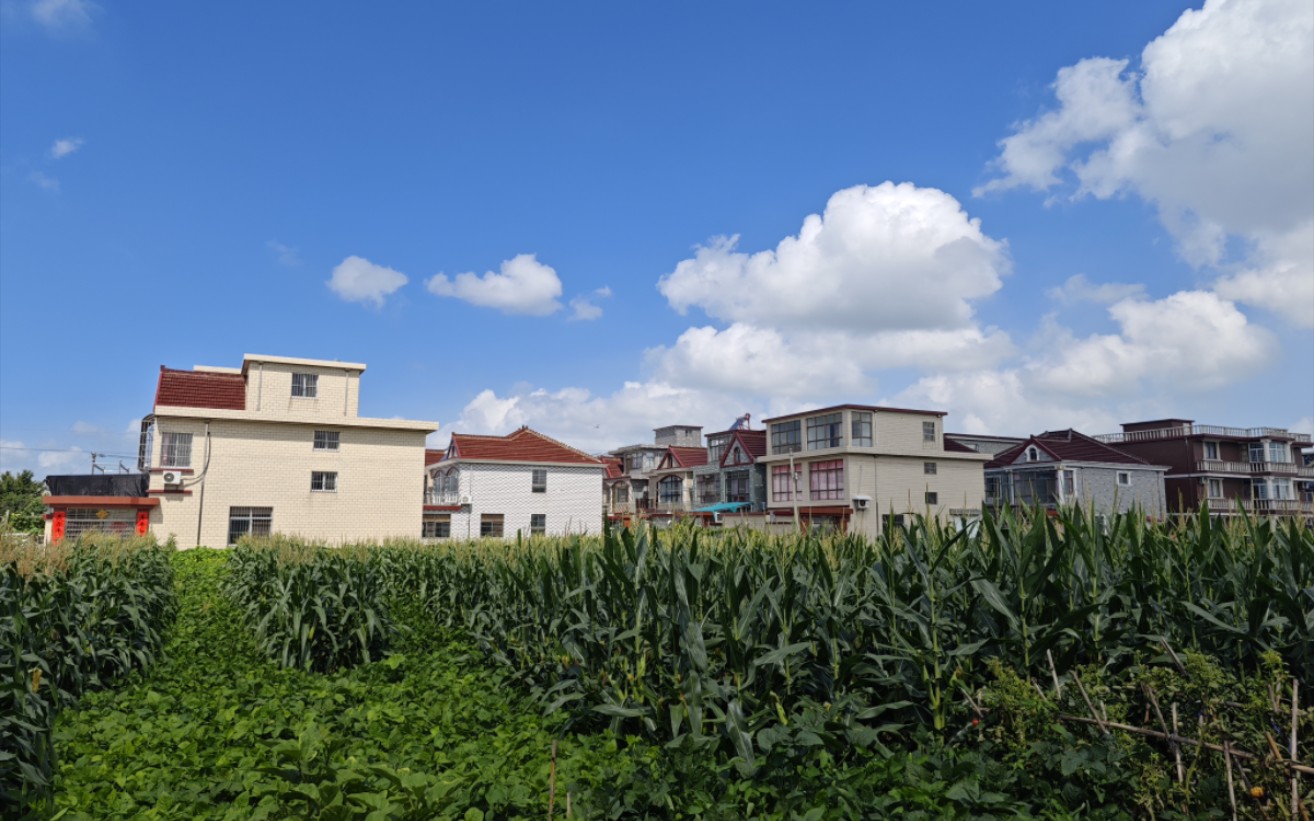 平原农村的美好生活