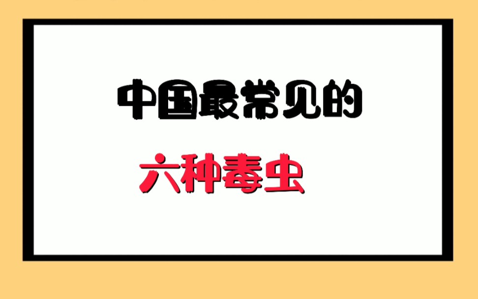 中国最常见的六种毒虫哔哩哔哩bilibili