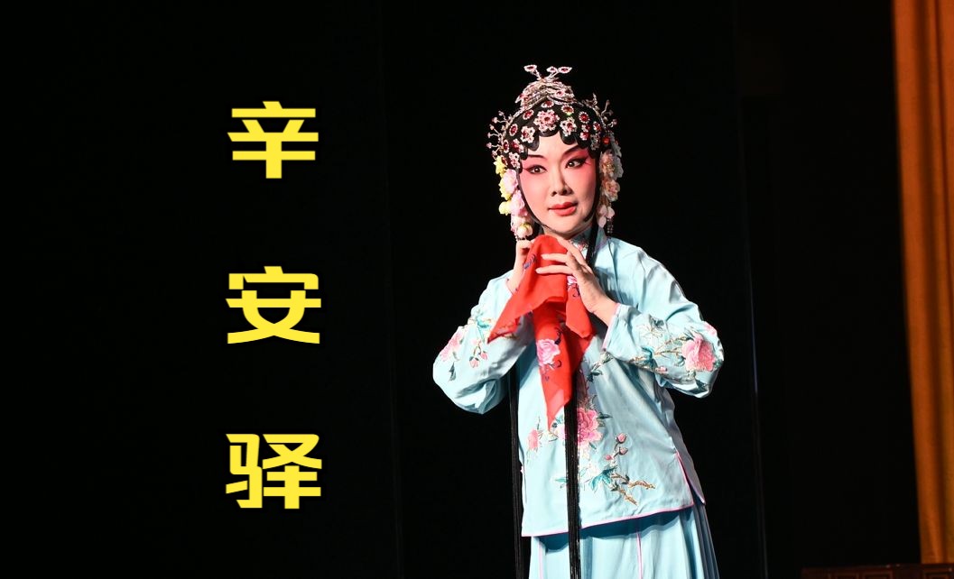 《辛安驿》选段「陈芳芳」武汉市京剧院 2023.12.