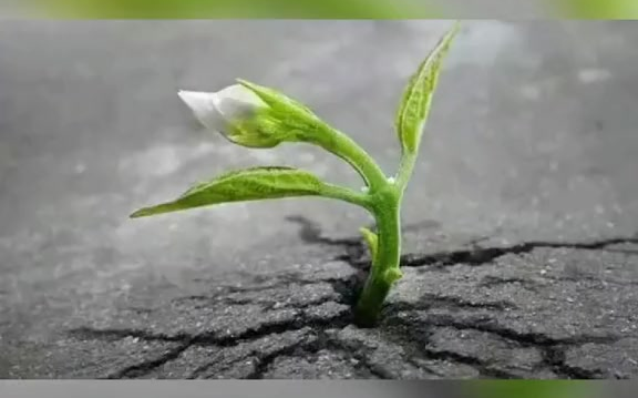 [图]人的一生会遇到无数次坎坷，别放弃往前走，多年以后，再回头看时，你会发现是那些坎坷造就了你的辉煌