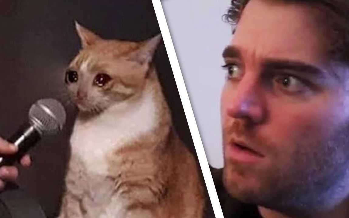 pewdiepie中字shanevs猫memereview