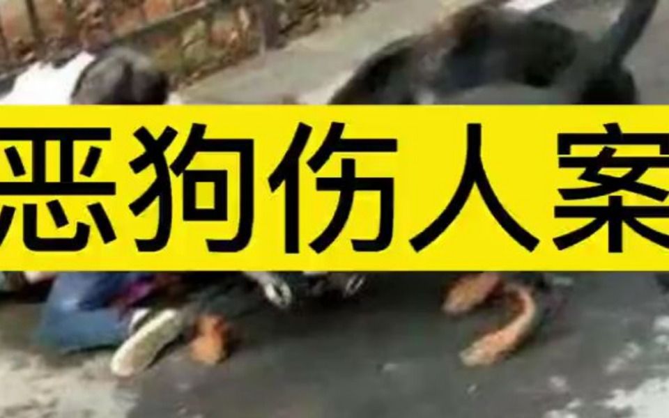 [图]孕妇被恶狗咬伤，丈夫将狗打死被狗主人索赔30万，结果大快人心