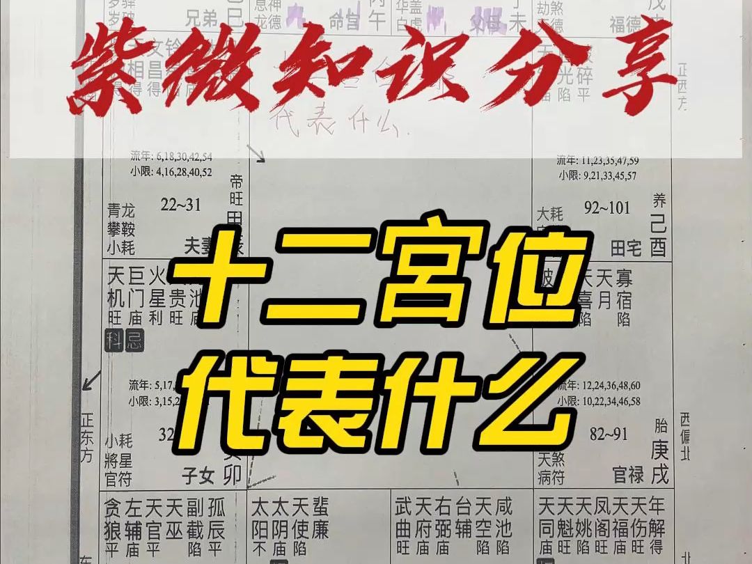 紫微斗数知识讲解,12宫位哔哩哔哩bilibili