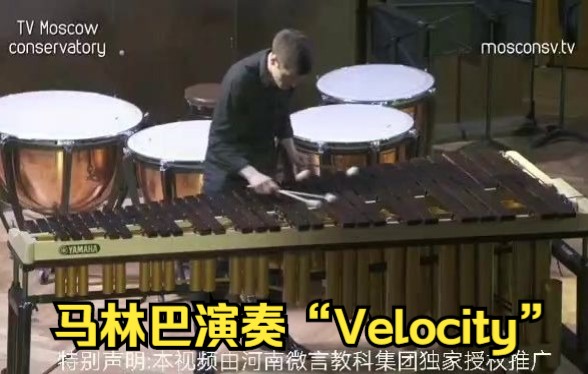 Velocity 马林巴独奏哔哩哔哩bilibili