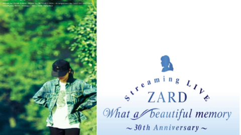 ZARD What a beautiful memory ~30th anniversary~ 息もできない中文