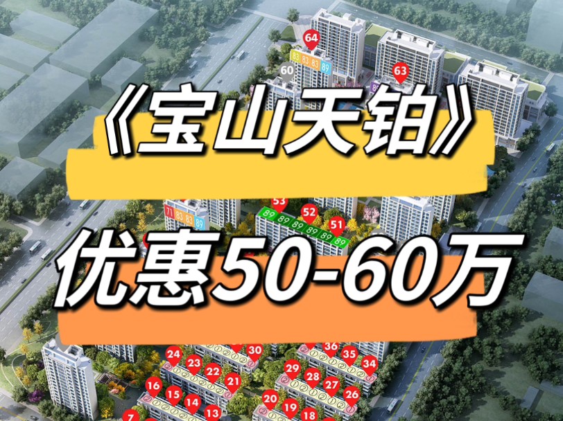 【宝山天铂】300万的房子优惠50万,宝山完蛋了?哔哩哔哩bilibili