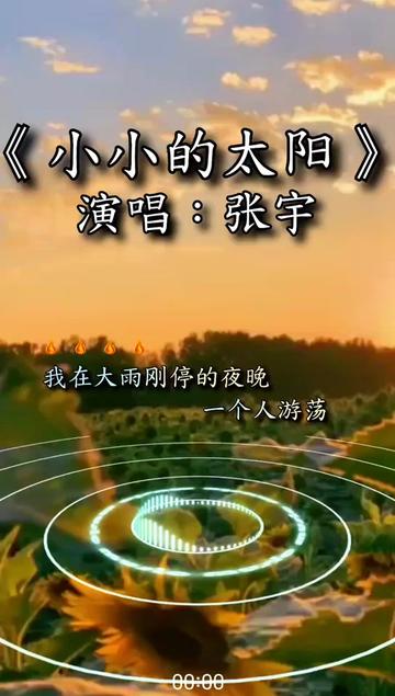 张宇的所有的歌曲(张宇的所有的歌曲歌词)