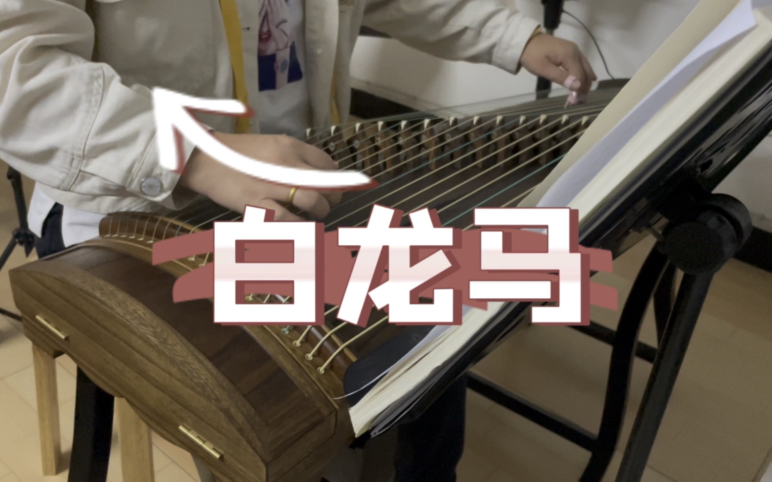 歌曲白龙马(歌曲白龙马原唱完整版儿歌)