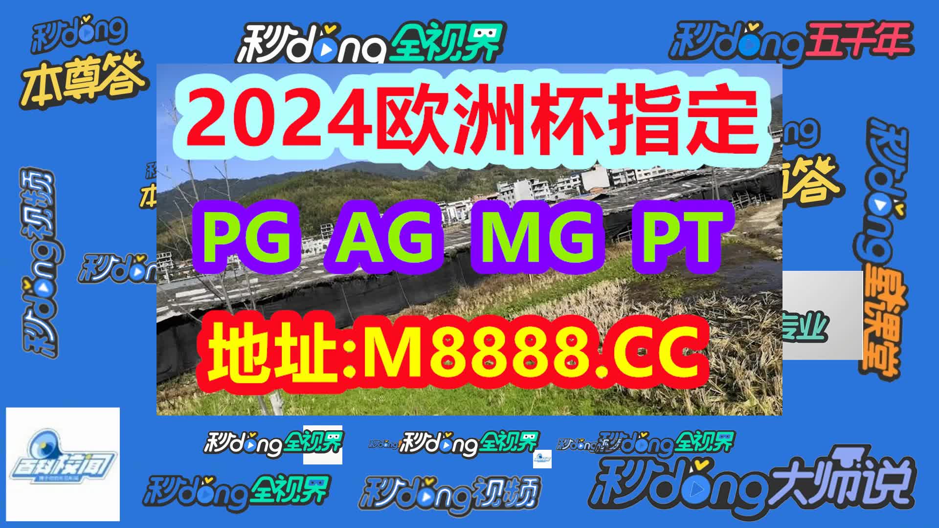 今期澳门管家婆资料查询(哔哩哔哩)647期
