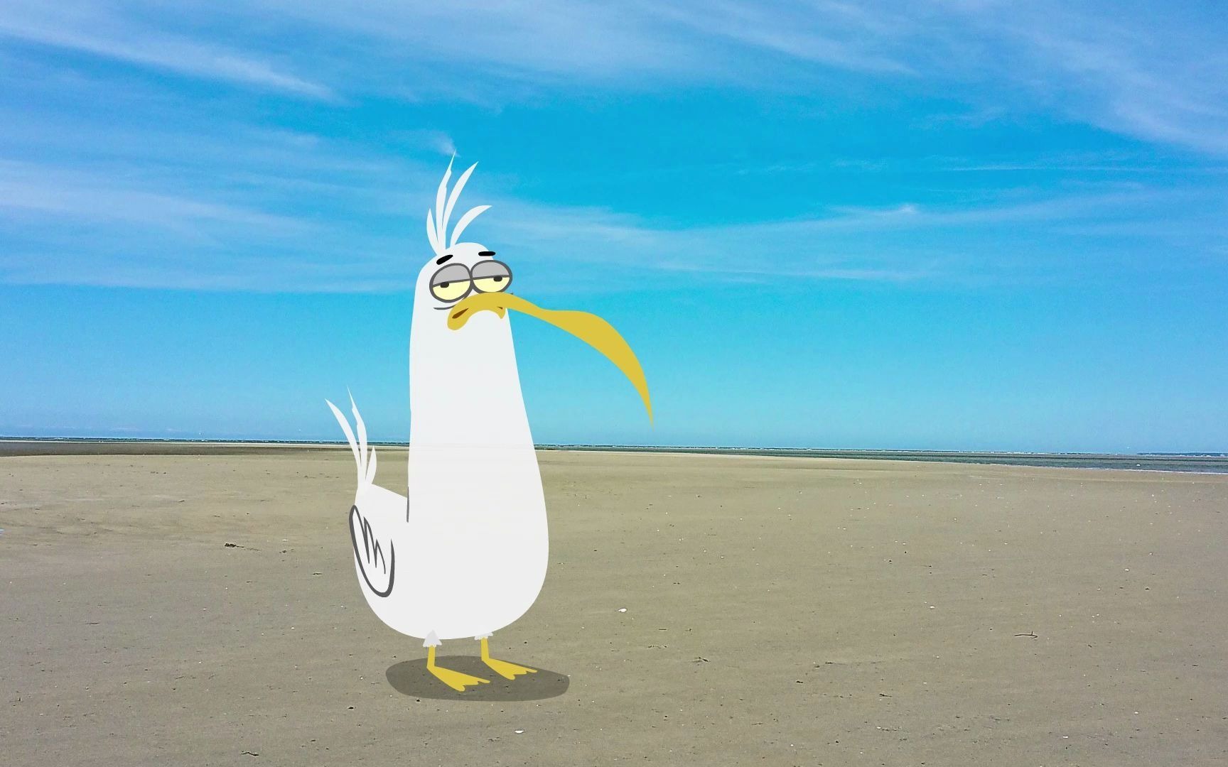 an动画_哔哩哔哩_bilibili