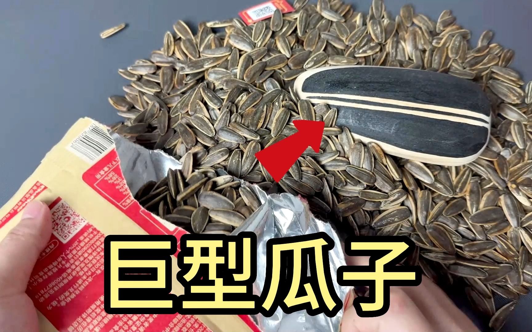 瓜子里,真有巨型瓜子吗?还能开出金瓜子,帅小伙亲测!