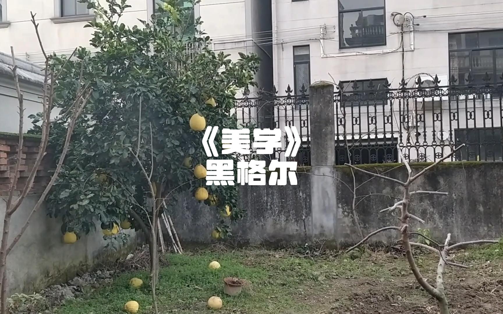 [图]【黑格尔】什么是道德