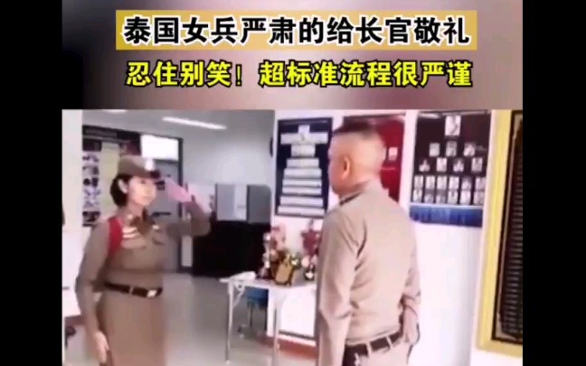 忍住不要笑,泰国女兵向长官敬礼!哔哩哔哩bilibili