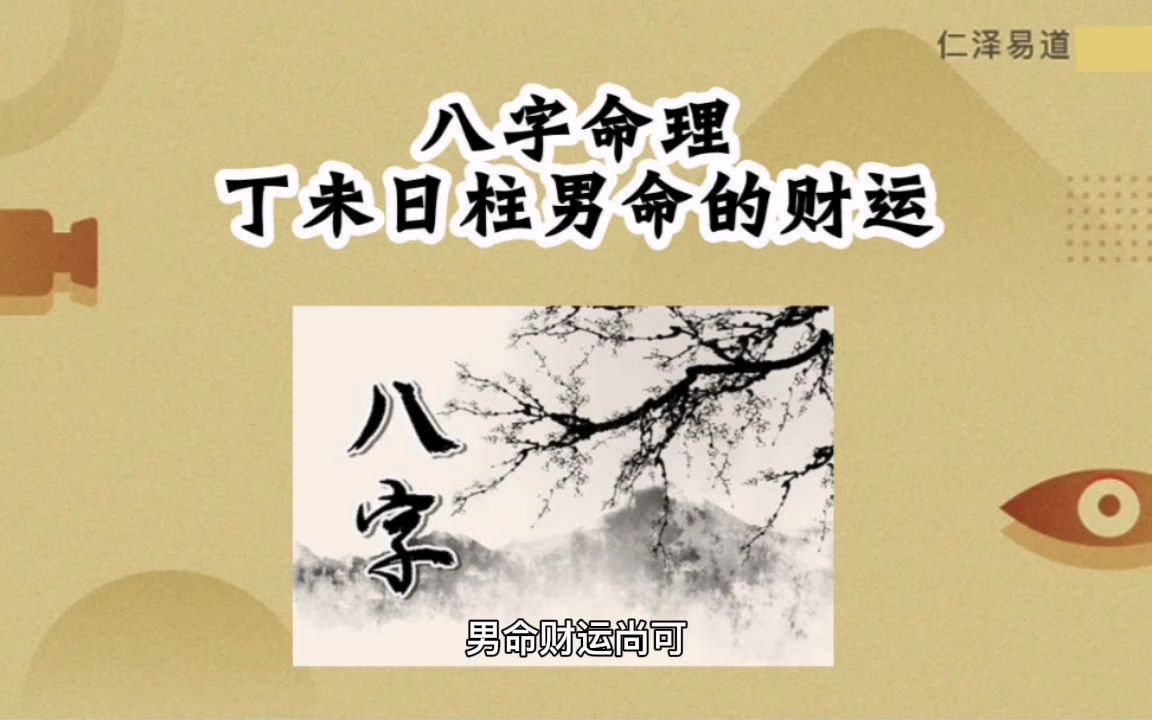 八字命理:丁未日柱男命的财运哔哩哔哩bilibili