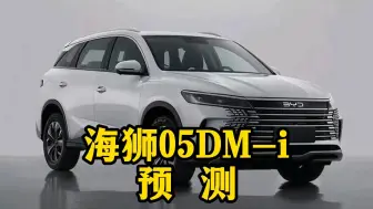 Descargar video: 宋pro dmi 和海狮05 dmi，你最关心的我给你讲！