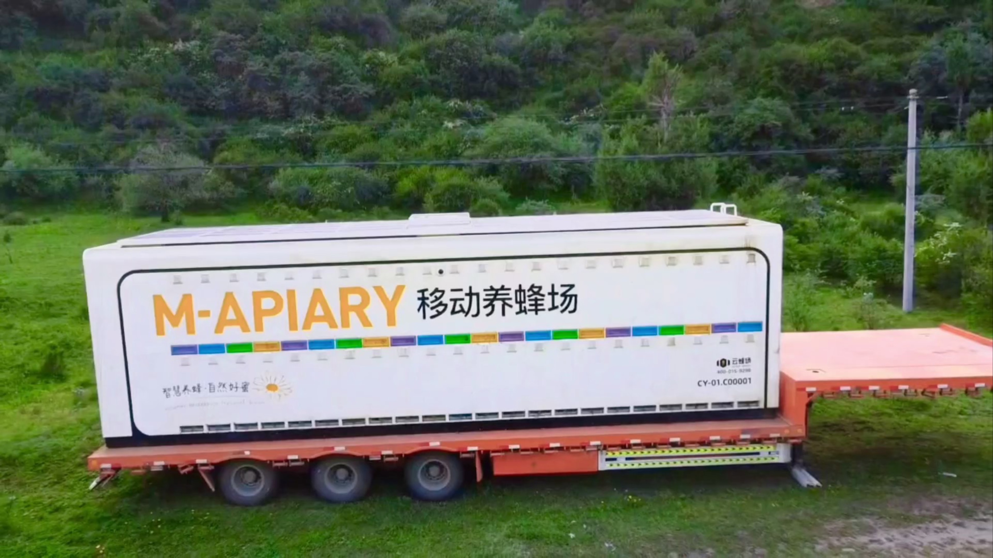 智慧蜂车已落地到美丽的"若尔盖",勤劳的小蜜蜂们开始采"黄连蜜"