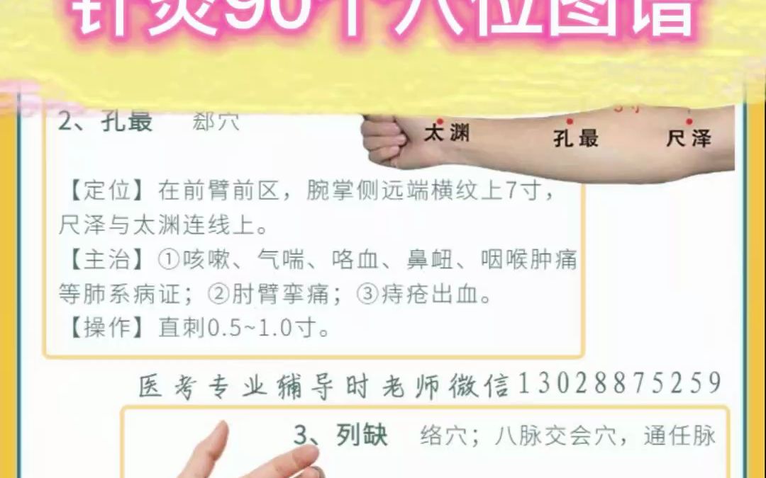 中医技能 针灸90个穴位图谱2哔哩哔哩bilibili