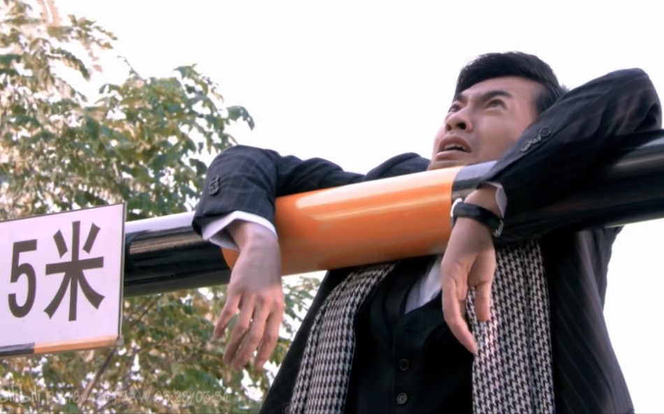 苏有朋爱情呼叫转移2