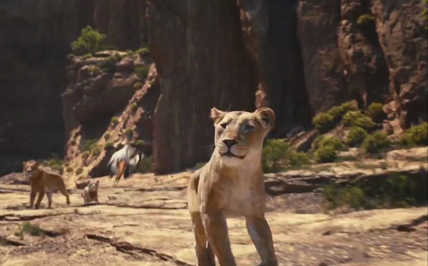 最伟大的国王之一的崛起之路《狮子王:木法沙传奇》