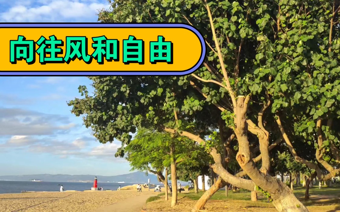 风是自由的,希望你也是,小大人.