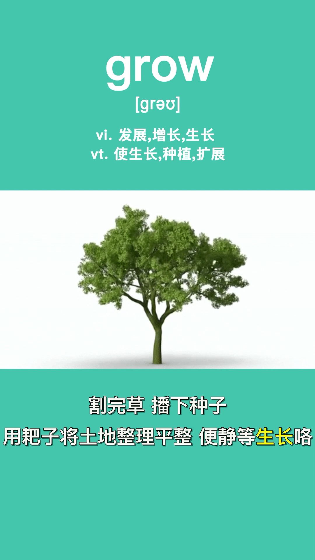 每日畅记单词:grow哔哩哔哩bilibili