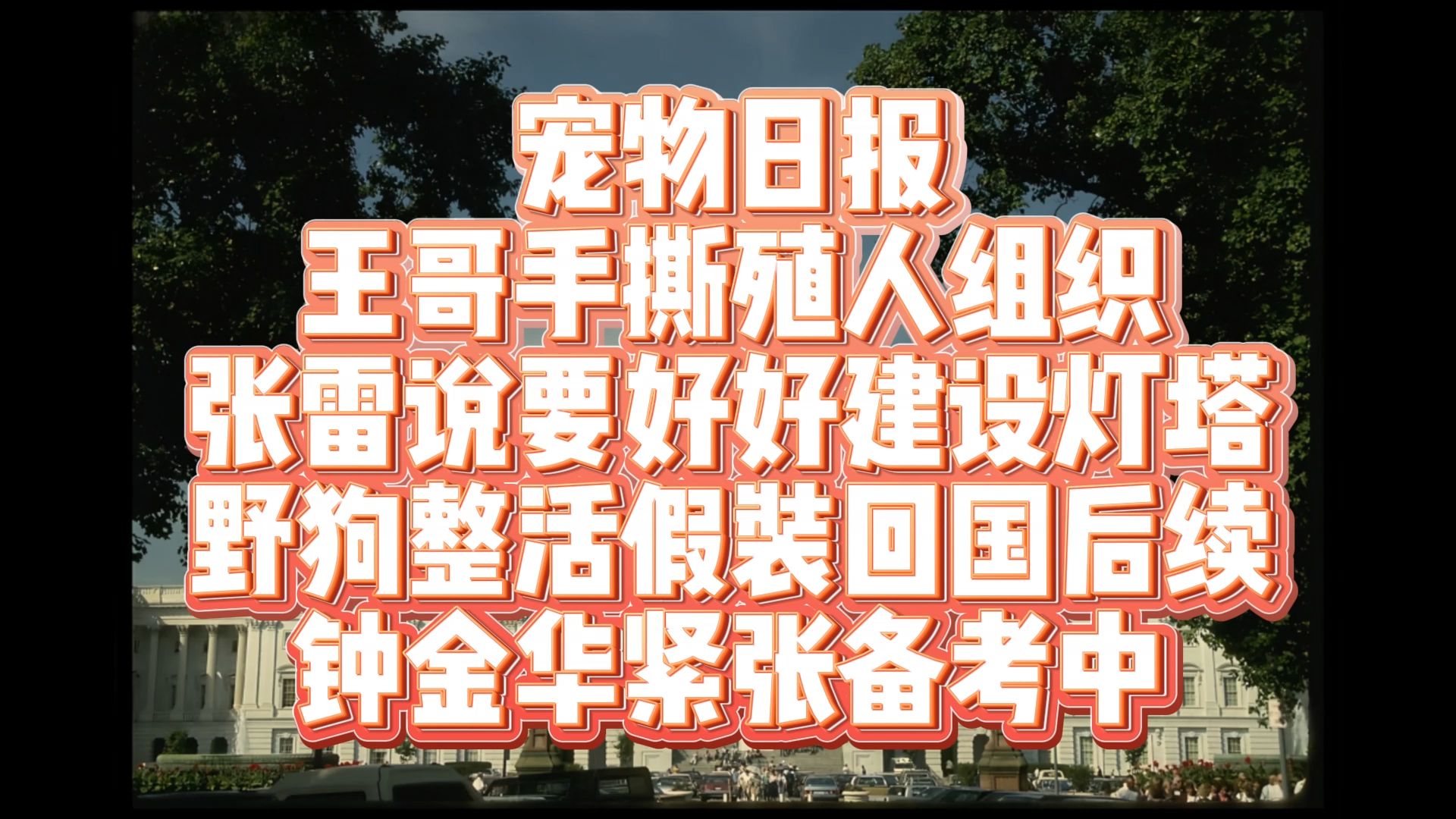 8月1日王哥手撕美国殖人组织,野狗整活后续哔哩哔哩bilibili