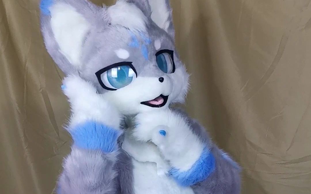 【兽装fursuit】实沈毛毛全装展示哔哩哔哩bilibili