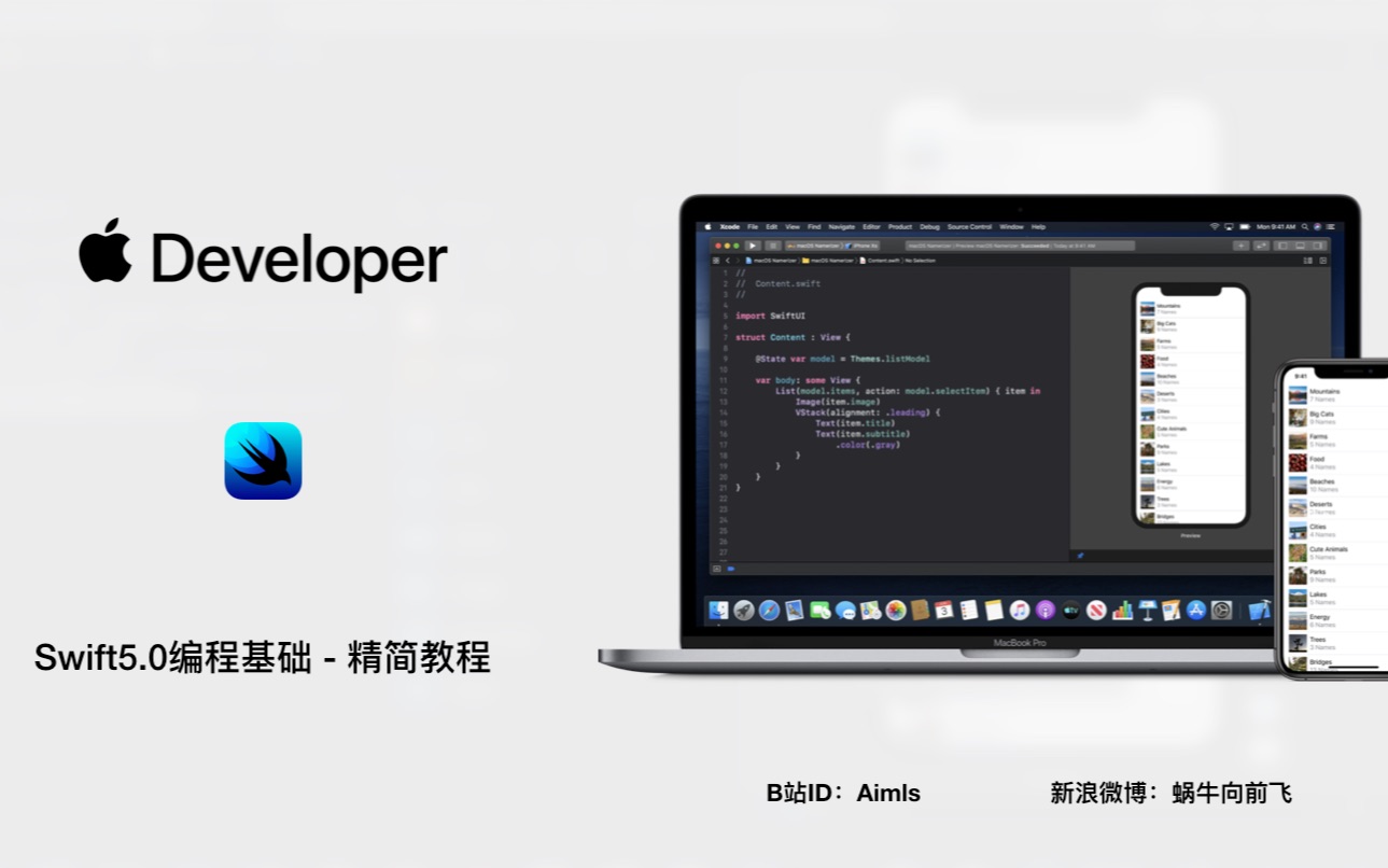 [图]【Swift编程基础】公司内部培训视频 - 已完结2019年9月份 - ios，Macos，SwiftUI开发前基础知识培训