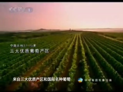 中粮集团长城葡萄酒 产业链 好产品 30s哔哩哔哩bilibili