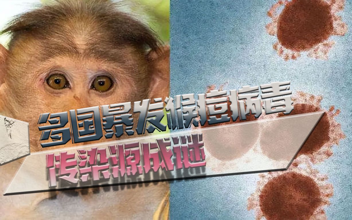  疫情是怎么来的源头在哪里(疫情来源于什么)