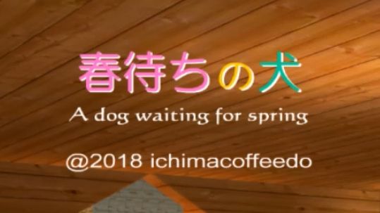 一马咖啡堂:春待ちの犬/A dog waiting for spring哔哩哔哩bilibili逃生游戏实况