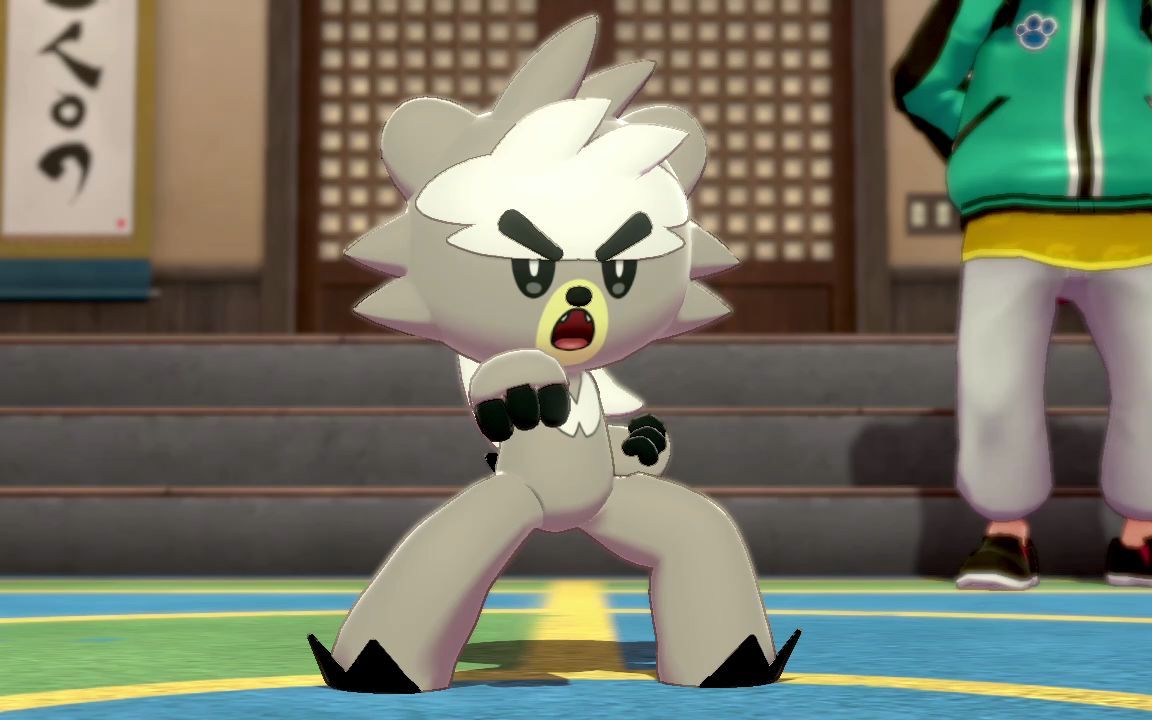 pokemon宝可梦剑盾 道馆初遇熊徒弟