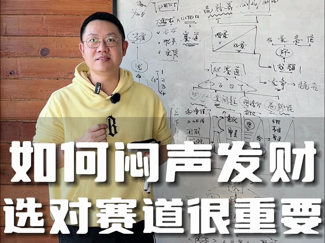 选择大于努力~2024年搞钱新风口,一批小而美的赛道逐渐崛起,更适合普通人入局~哔哩哔哩bilibili