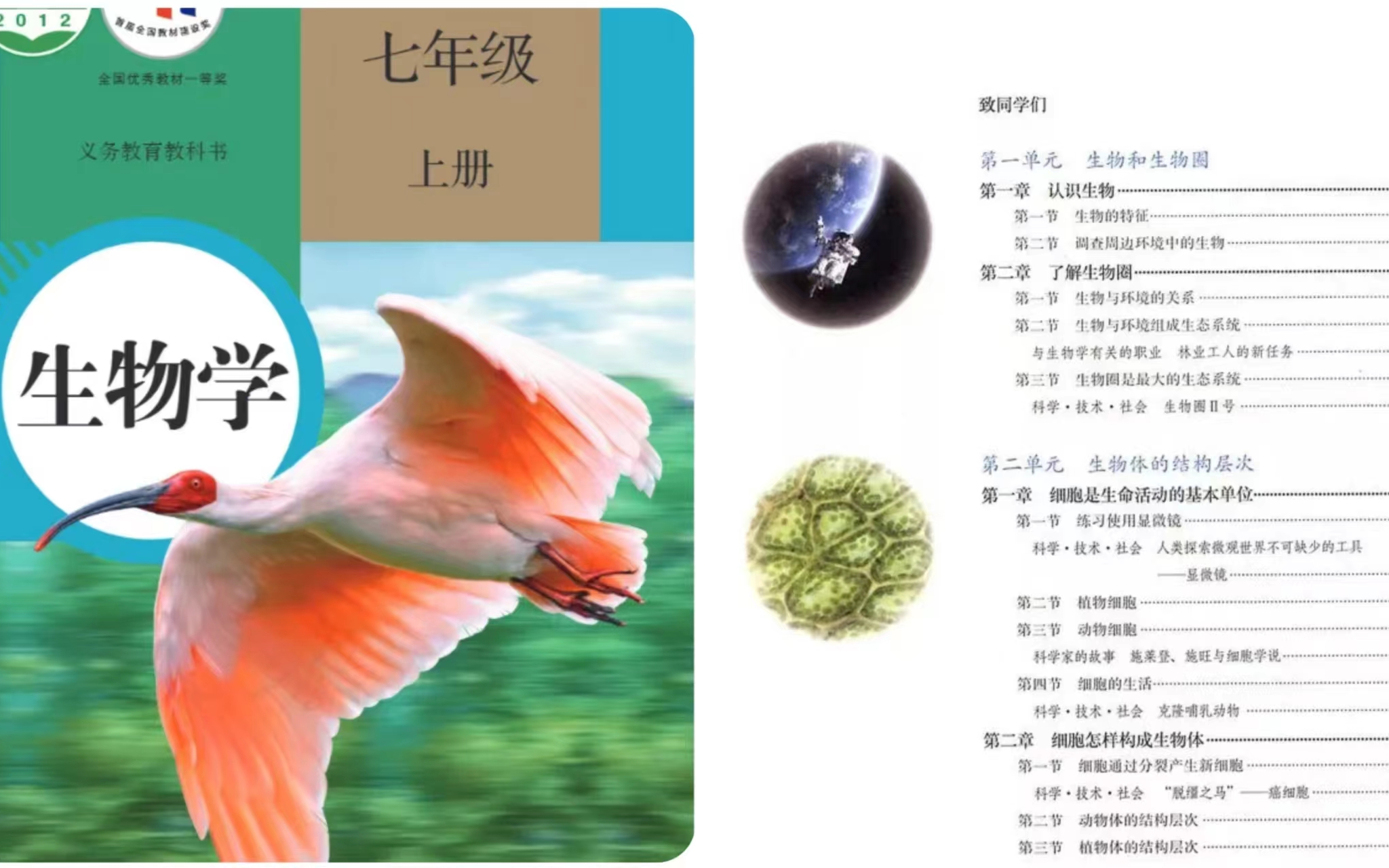 人教版 生物学七年级上册 教学视频哔哩哔哩bilibili