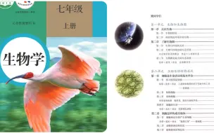 下载视频: 人教版  生物学七年级上册  教学视频