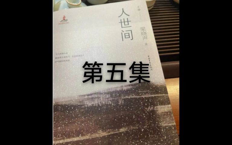 《人世间》小说,听书,第五集,持续更新中,喜欢的关注哔哩哔哩bilibili