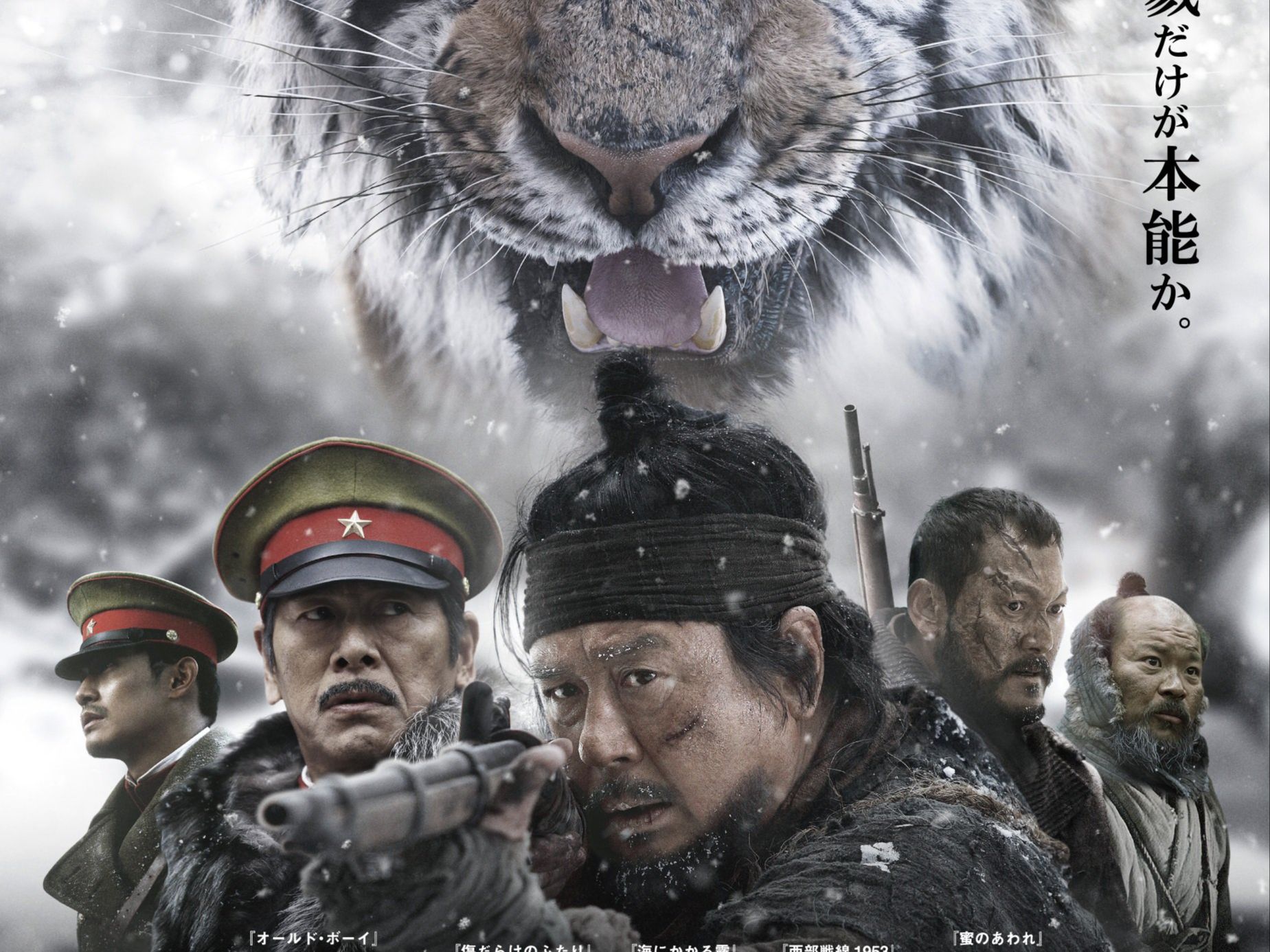 一次被韩国电影打动了,哭了好几回,到底是人可怜还是大猫可怜《大虎》